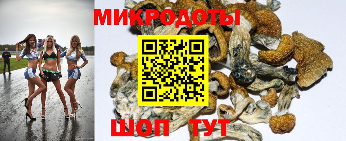 купить   Вход с VPN  Мончегорск  Псилоцибиновые грибы мухоморы 